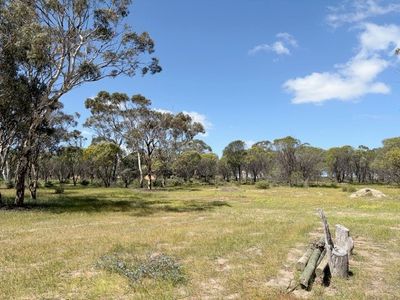 19 Penny Street, Kauring