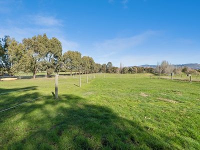 545 Mt Buller Road, Mansfield