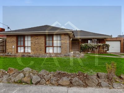 51 Clive Street, Hampton Park