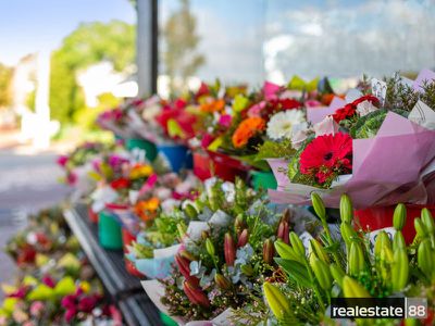 8 / 176 Newcastle Street, Perth