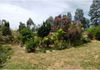 106 Lemmons Road, Borenore