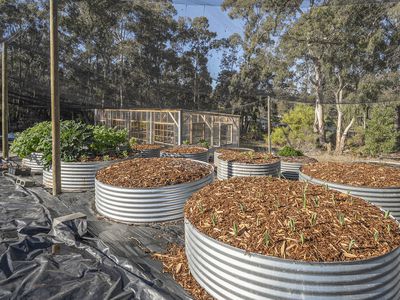 654 Abels Bay Road, Eggs And Bacon Bay