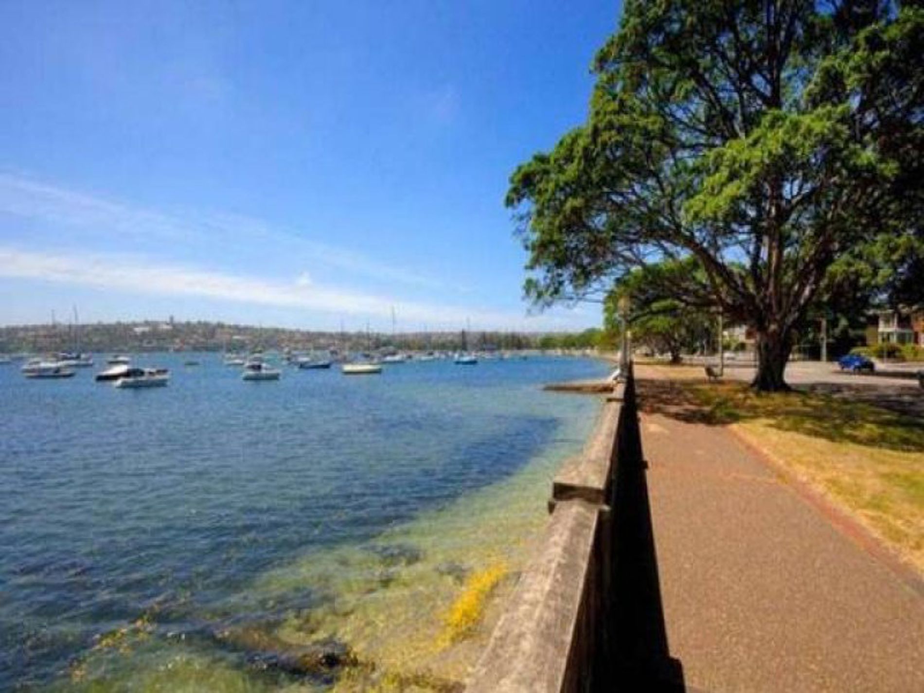 5 / 21 Balfour Road, Rose Bay