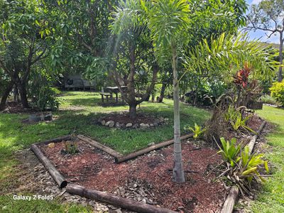 61 Idress Drive, Cooktown