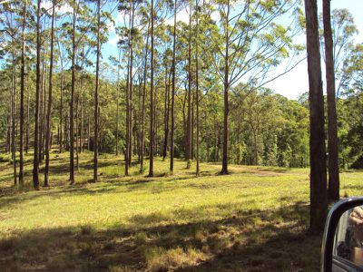 Lot 3 Maleny-Stanley River Rd, Booroobin