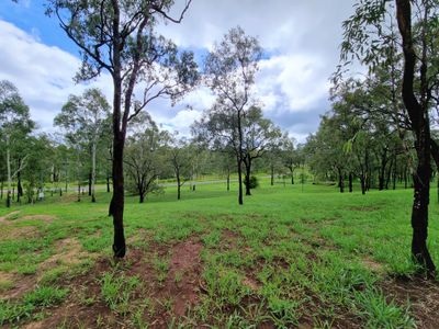 55 Bivouac Road, Ravenshoe