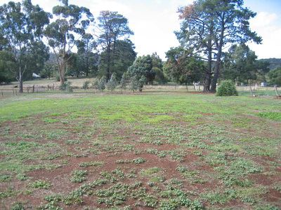58 JACKSONS LANE, Heathcote