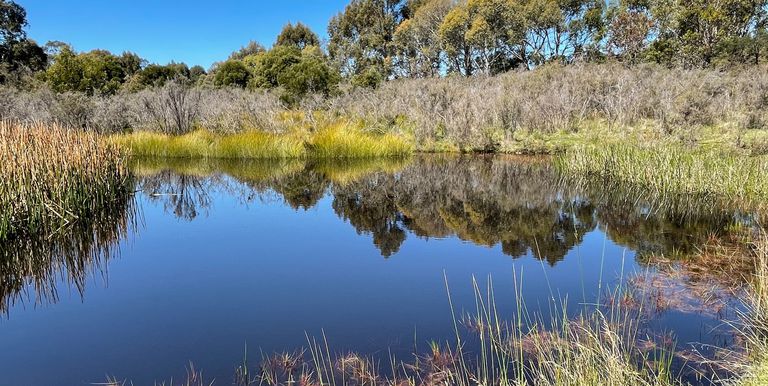 Lot 1 & 2, Bonnie Doon Road  , Marraweeney