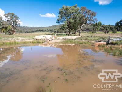 Lot 241, 243, 2202 Wellington Vale Road, Emmaville