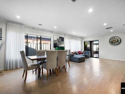 38 Wedgebill Circuit, Werribee