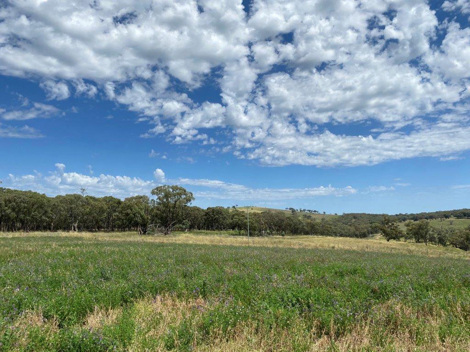4570 Black Stump Way, Coolah