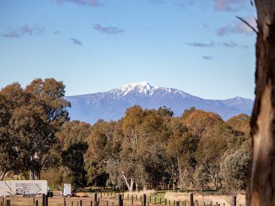 Lot 36 Stockmans Rise, Mansfield