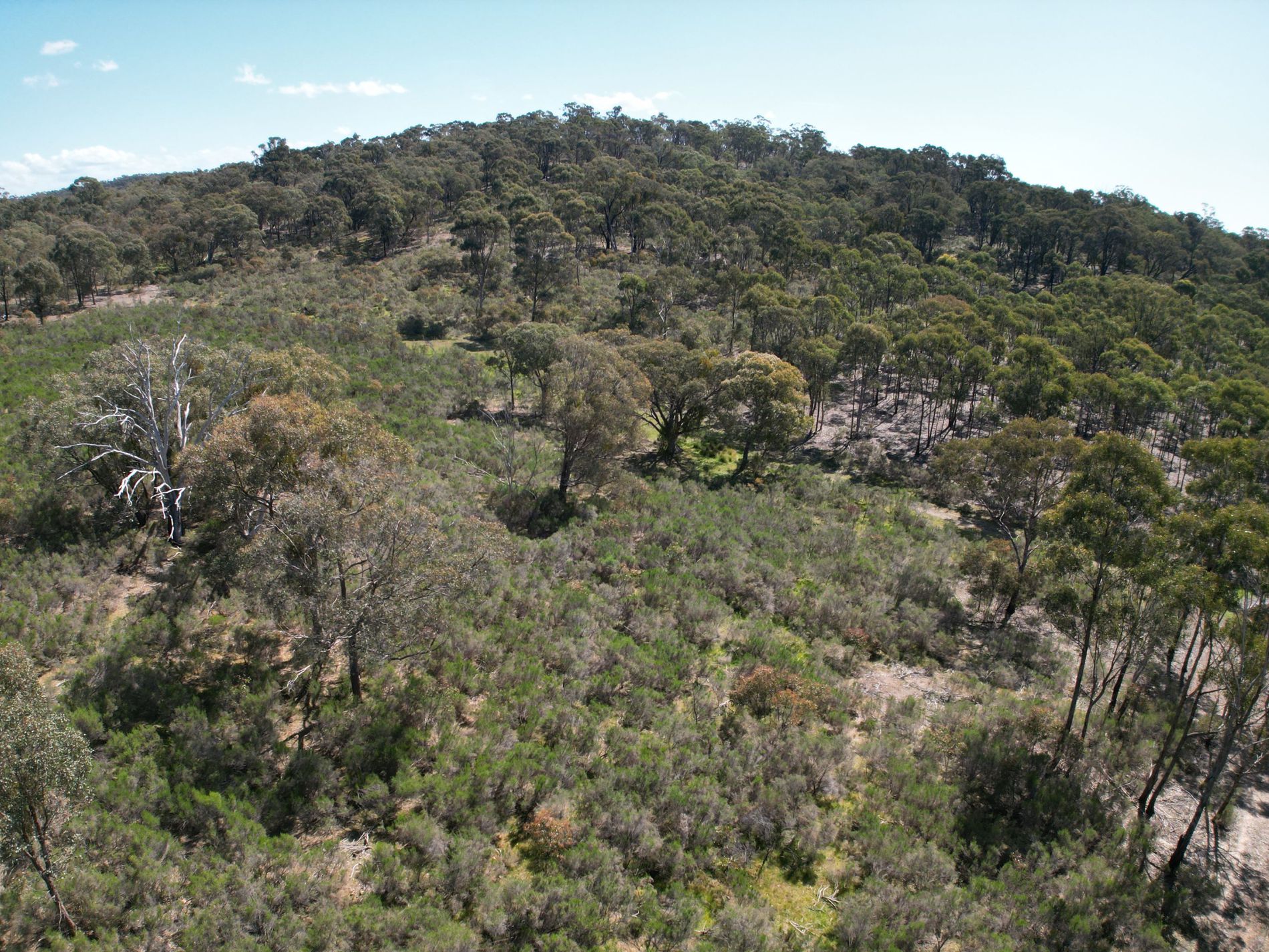 Lot 12 Heathcote-Nagambie Road, Moormbool West