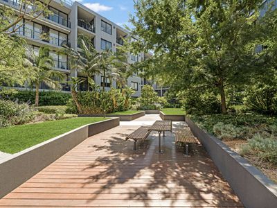 317c / 39 Ralph Street, Alexandria