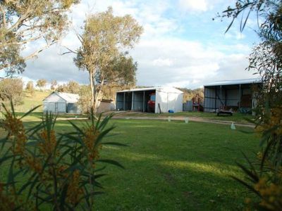 Springhurst