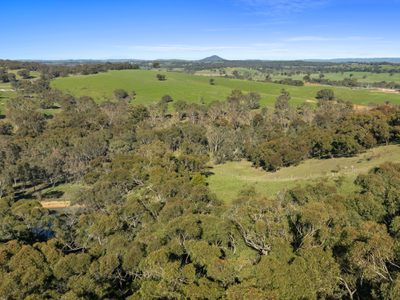 310 Dockerys Road, Tallarook