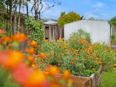 8 Timberlea Drive East, Bentley Park