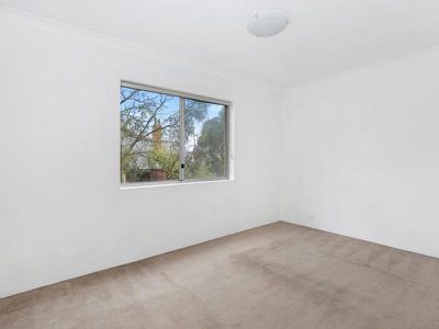 10 / 163 Todman Avenue, Kensington