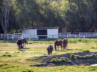552 Upton Rd, Avenel