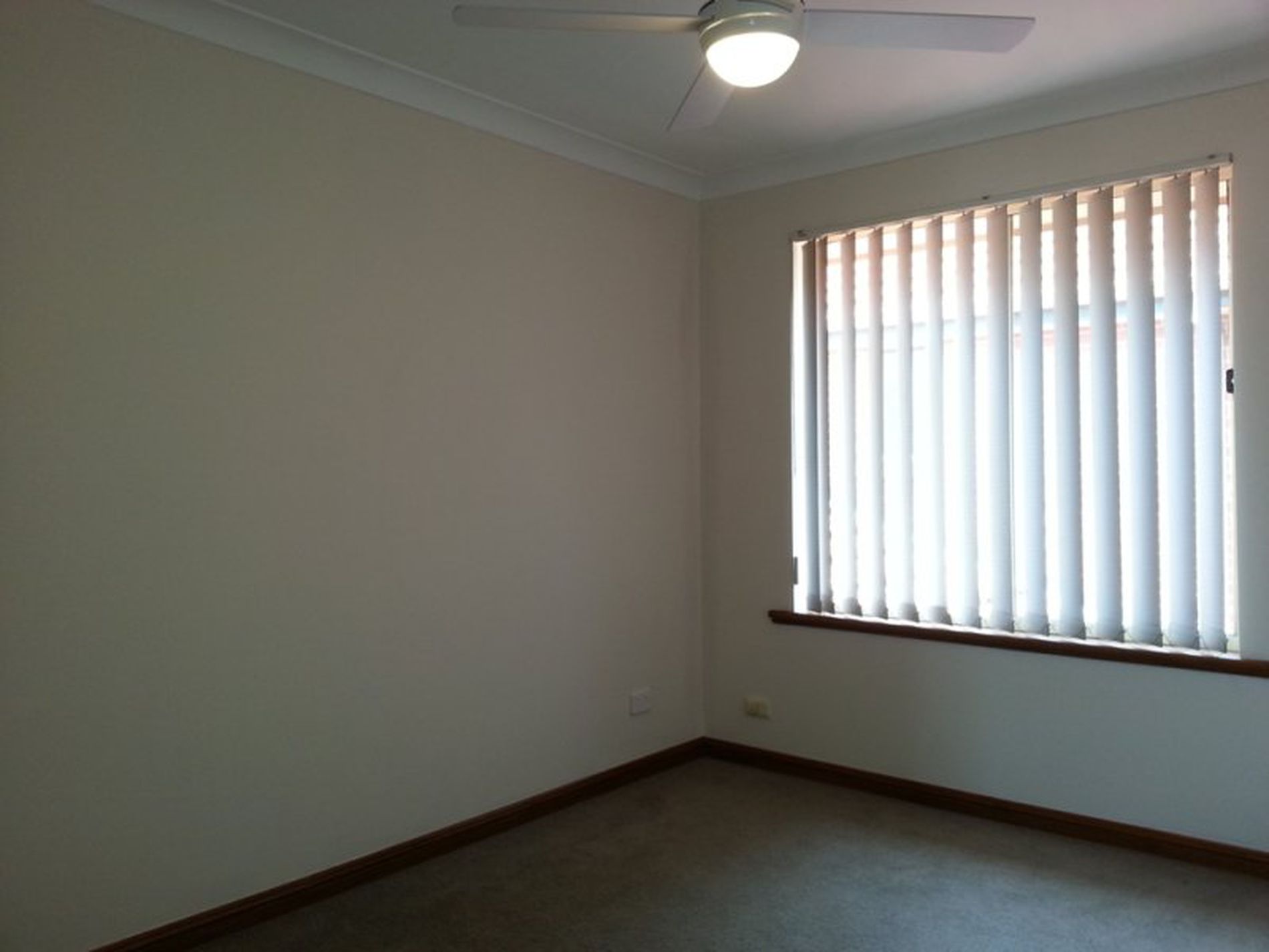1 / 52 Garfield Avenue, Kurralta Park