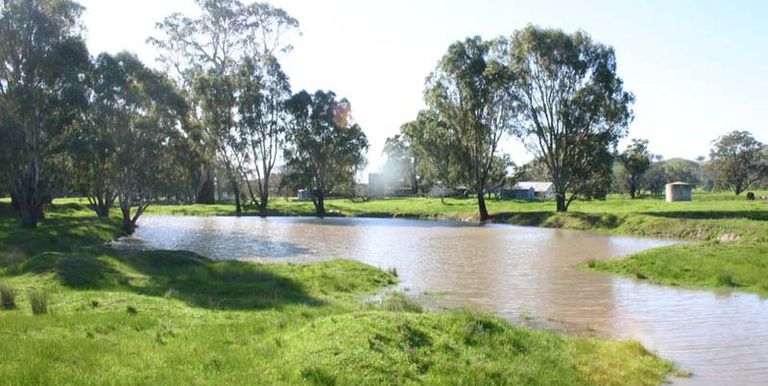 Sheans Creek Road, Euroa