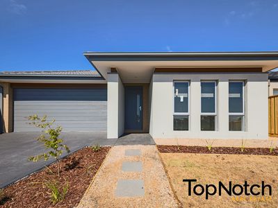 49 Leadbeater Circuit, Beveridge