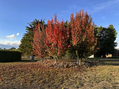 5973 Boorowa Road, Narrawa Via, Crookwell