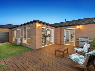 147 Thoroughbred Drive, Clyde North