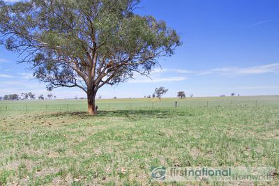 539 Kelsos Lane, Tamworth