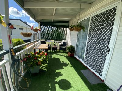 9 Palm Avenue / 14 Ibis Boulevard, Eli Waters
