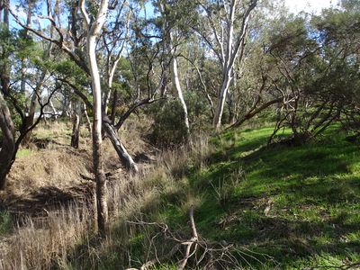 15 Moran Court, Graytown