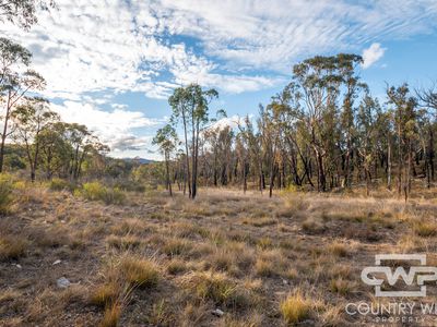 Lot 140, / Dellwood Road, Deepwater