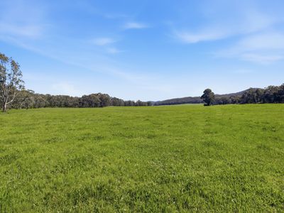 1129 Moyhu-Meadow Creek Road, Meadow Creek