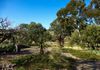 833 Mitchell Highway, Orange