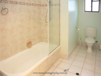 54 Racecourse, Cooktown