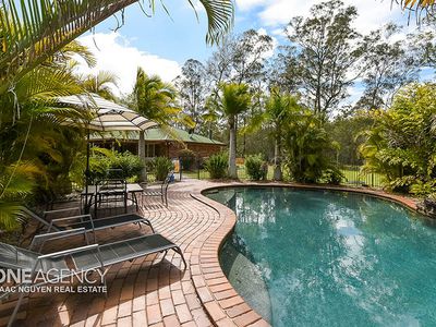 290 Forestdale Drive, Forestdale