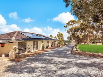 308 Medlow Road, One Tree Hill