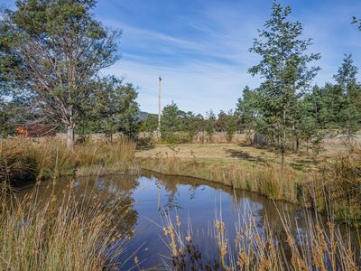 Lot 3, Andrewartha Road, Raminea