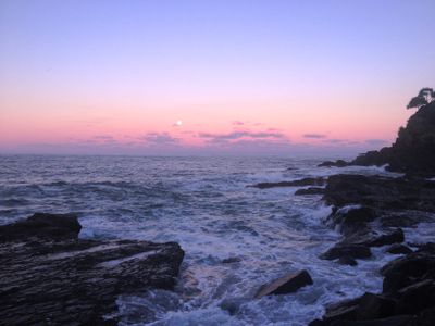 16 Glen Ayr Drive, Banora Point