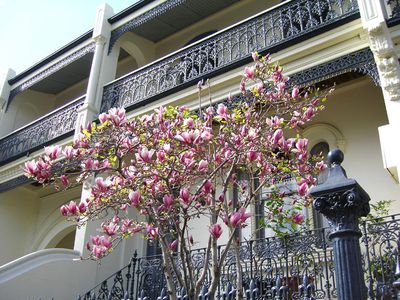280 Bridge Road, Glebe