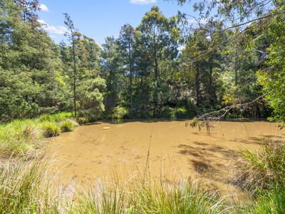 119 Sunday Hill Road, Petcheys Bay