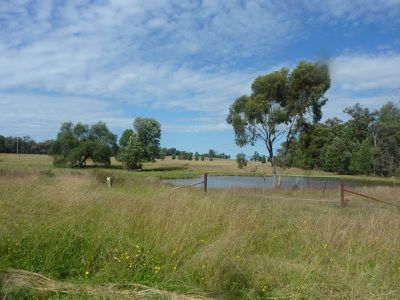 Lot 181 Lot 181 Westella Road Wongarbon, Wongarbon