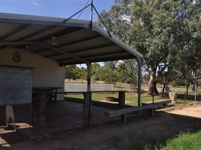 7-11 Windsor Street, Forbes