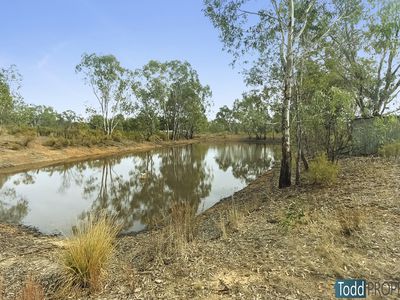 39 Reynolds Court, Graytown