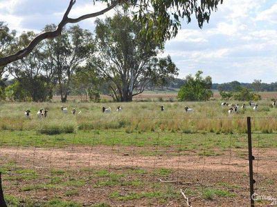 9L Gidgee Road, Dubbo
