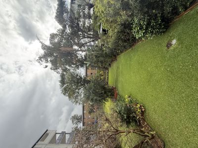 36 Cartwright Street , Windsor