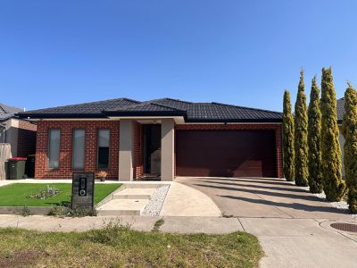 24 Ballantine Street, Tarneit