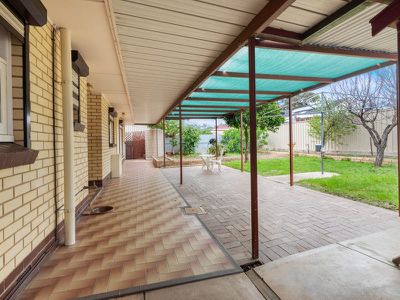 18 Andrea Avenue, Newton