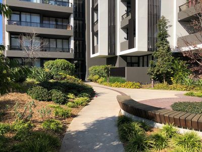 405 / 86 Wigram Road, Forest Lodge