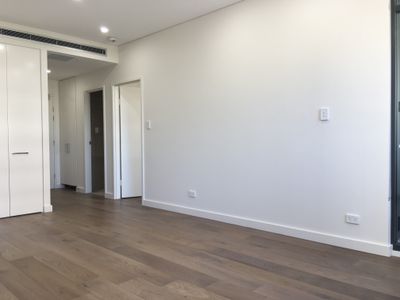 B215 / 18 Gadigal Avenue, Waterloo